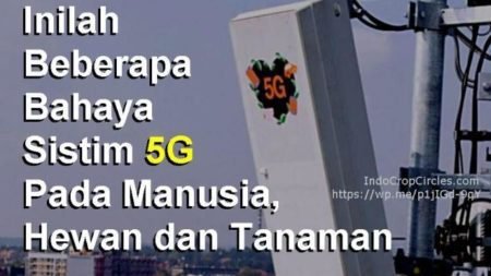 Inilah Bahaya Sistim “5G” Pada Manusia, Hewan dan Tanaman!