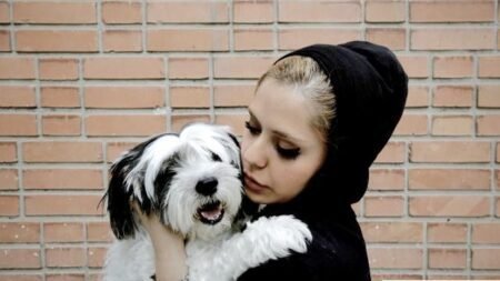 Keajaiban Rasul SAW Dibalik Larangan Pelihara Anjing