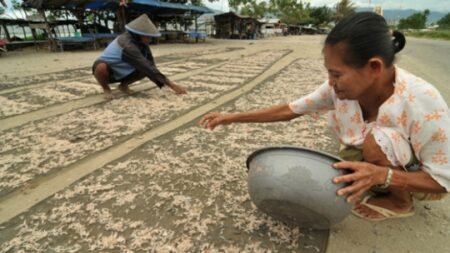 Peneliti Coba Ubah Kulit Udang Jadi Plastik