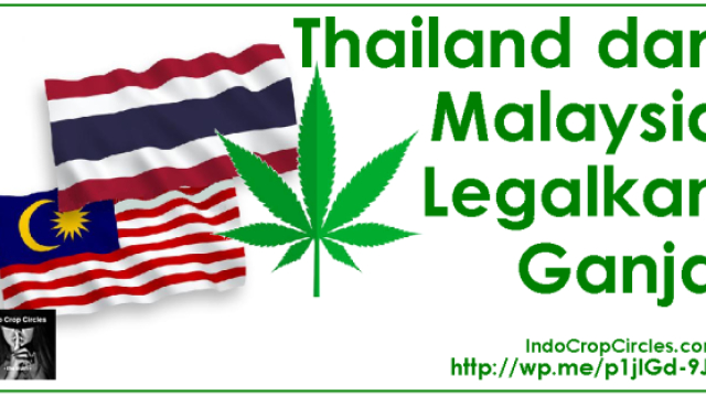 Thailand dan Malaysia Legalkan Ganja