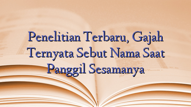 Penelitian Terbaru, Gajah Ternyata Sebut Nama Saat Panggil Sesamanya